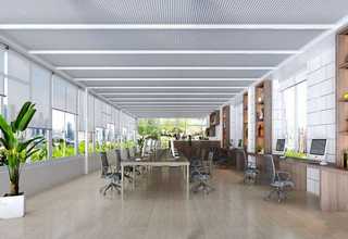 茶花纯露院线产品