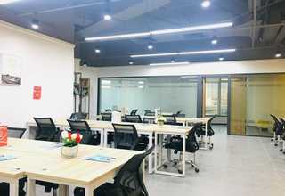 上海成年一号红龙鱼缸温度多少合适