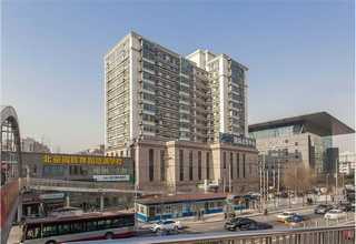 山东甲酸钠粉末工厂