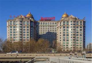 惠山区商场绿植公司