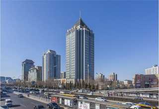 小学生心理疏导培训